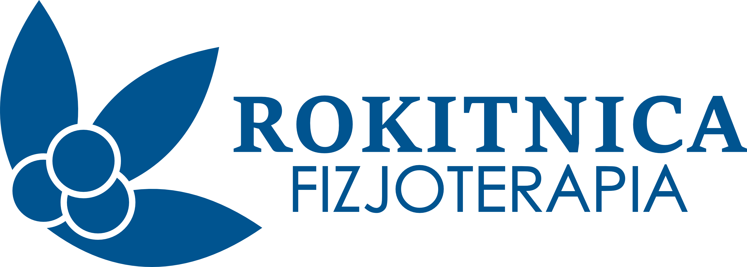 Fizjoterapia Rokitnica Logo